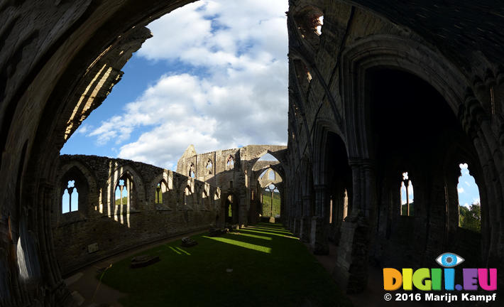 FZ033744-78 Shadows on Tintern Abbey wall